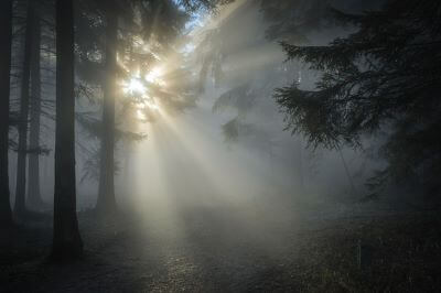 sunbeams homesteading in the united states